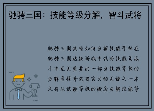 驰骋三国：技能等级分解，智斗武将