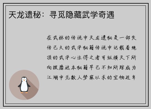 天龙遗秘：寻觅隐藏武学奇遇