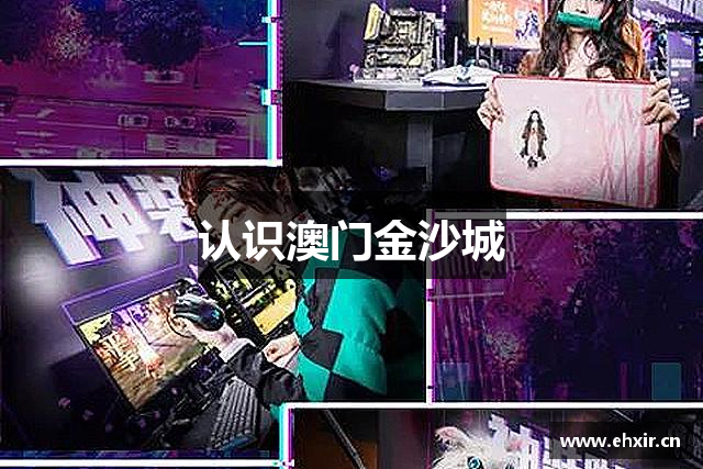 认识澳门金沙城